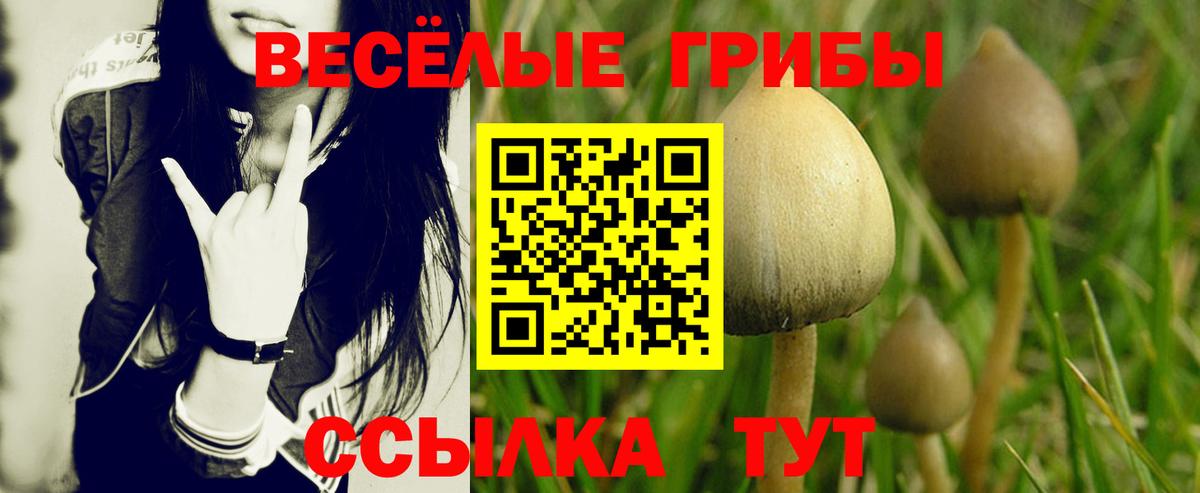Галлюциногенные грибы MAGIC MUSHROOMS  Вход с VPN  Россия  Псилоцибиновые грибы Magic Shrooms 